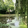 Mijdrecht, Netherlands : After spending the morning walking around Hoorn markets, we visited Ed's parents in Mijdrecht  .... what wonderful people they are !!!!!!