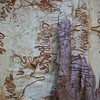 HippyfromOz > Saturday 23 February 2008 - I'm cheating already - we are in the middle of a heatwave, over 40 degrees celsius - its sweltering and I'm not inclined to go outside.  
I photographed this last December in bushland at Mt Cotton, not far from here.  This is a closeup of a Scribbly Gum Eucalyptus Tree. It's a large attractive tree with a creamy white trunk. The distinctive brownish 'scribbles' are made by the larvae of the tiny Scribbly Gum Moth.
The eggs of this moth are laid between the old and new season's bark - As the larva burrows between the bark layers it leaves a tunnel which is revealed when the old bark falls away.
Artistic isn't it!!

Scribbly-Gum - by Judith Wright

The cold spring falls from the stone.
I passed and heard
the mountain, palm and fern
spoken in one strange word.
The gum-tree stands by the spring.
I peeled its splitting bark 
and found the written track
of a life I could not read.
