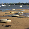 HippyfromOz > Thursday 28 February 2008 - Stranded dinghies at Pt O'Halloran - they're all heading in the one direction - I estimated 75-80 of them.