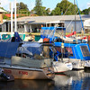HippyfromOz > Monday 3 March 2008 - Part of the Weinam Creek Marina, Redland Bay