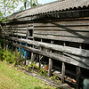 HippyfromOz > Friday 14 March 2008 - The Shed - not just any old shed.  This Shed is behind the house at Mudgeeraba where I grew up (from the age of 7), it was Dad's shed - he used to hide in there doing who knows what.  Dad passed on over thirty years ago - Mum still lives in the house but she won't get rid of The Shed.  It's falling to pieces and leaning very much to the right - I am sure the next cyclone will blow it over.  My brother built a car port at the front of it but The Shed still stands.