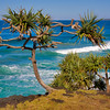 Fingal Head, New South Wales : The area was name after Fingal in Ireland because the basalt headland was thought to be similar to the Giants Causeway there.  The traditional inhabitants of the area were the Minjungbal people who settled more or less permanently due to the plentiful supply of food and water.